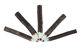 Ast-Malstifte, 5 Farben sortiert; durchgehende Mine!