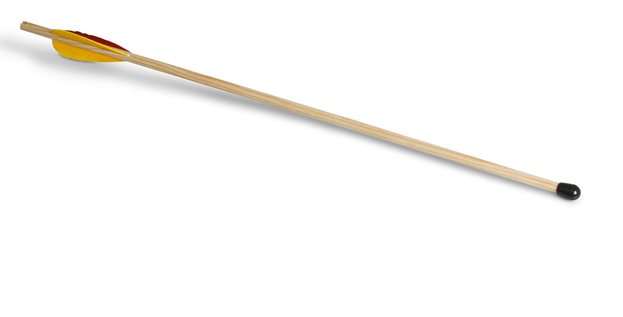 SPORT-Pfeil 50cm, mit Pfropfen, Selfnocke,Truthahnfedern - Bild 1