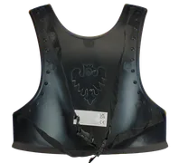 Brustpanzer Adler mit Gurten, 32x31 cm, Silber/Gold - Bild 6